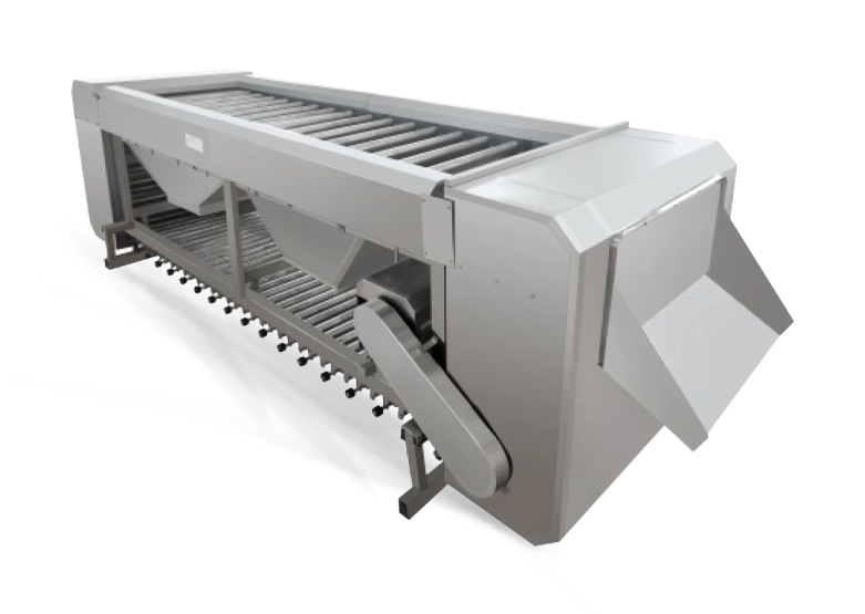 Fruit & Vegetable Sorting Equipment